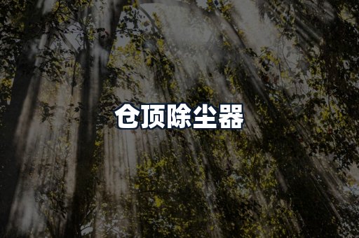 仓顶除尘器